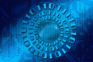 米兰体育下载-大数据应用助力训练科学管理，大数据在训练管理中的应用